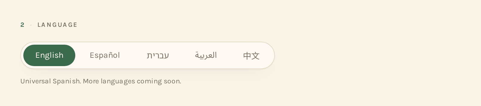 The DynamicIEP language selector showing English, Español, עברית, العربية and 中文 in native script